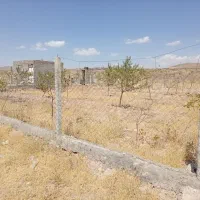 باغ به متراژ 12من|فروش دفتر صنعتی، کشاورزی، تجاری|بناب, |دیوار