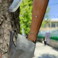 ساطور و چاقو