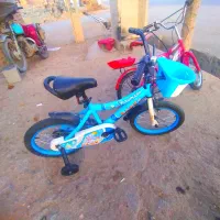 دوچرخه دوچرخه|دوچرخه، اسکیت، اسکوتر|میاندوآب, |دیوار