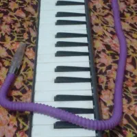 سازمولودیکامدل سوزوکی|پیانو، کیبورد، آکاردئون|آزادشهر, |دیوار