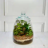 اموزش خصوصی و نیمه خصوصی تراریوم