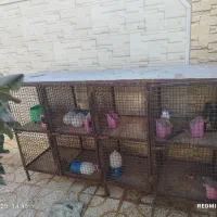 جفت گاه کبوتر|لوازم جانبی حیوانات|سده (خراسان جنوبی), |دیوار