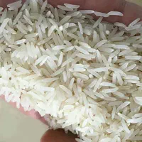 طارم محلی درجه ۱ باقیمت کاسبی،(توضیحاتو بخون)|خوردنی و آشامیدنی|بابل, |دیوار