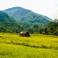 فروش محدود فایل اصلی مناظر زیبای ایرانی