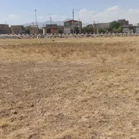 زمین 4000متری سند دار|فروش زمین و ملک کلنگی|بهار, |دیوار