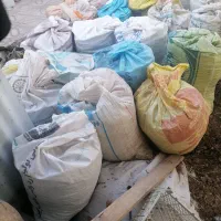 کبوتر|سگ|اسفراین, |دیوار