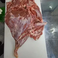 گوشت گوساله|عمدهفروشی|ری, منصوریه منگل|دیوار