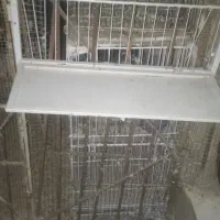 دریچه ورودی کبوتر