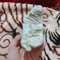 فسیل مرجان|کلکسیون اشیاء عتیقه|سلماس, |دیوار