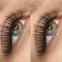 مژه|خدمات آرایشگری و زیبایی|رشت, کاکتوس|دیوار