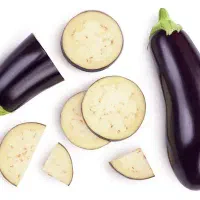 نیازمند شریک جهت انواع نشا و بذر درگلخانه ۴۰۰ متری