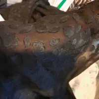 سه قواره چادر مشکی مجلسی مکه ای هر قواره 850000|لباس|کرمان, |دیوار