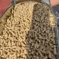 دان مرغ گوشتی