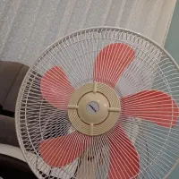 پنکه دسته‌دو