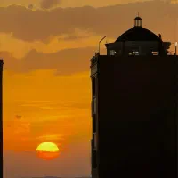 باریستا سالن دار آشپز