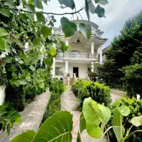 کاخ-ویلا300متر-نما-سنگ-سرسبز-و-زیبا