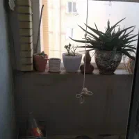 واحد 85متری|اجارهٔ آپارتمان|سبزوار, قصبه شرقی|دیوار