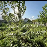 فروش زمین مسکونی ۳۳۳ متری ساحلی در گیلان|فروش زمین و ملک کلنگی|پره‌سر, |دیوار
