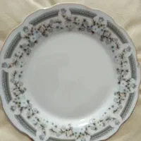 پیش دستی