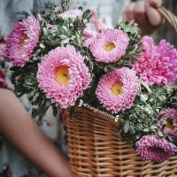 مشاوره مهندسی مواد