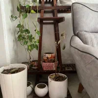 فروش تعدادی گلدون کاملا سالم