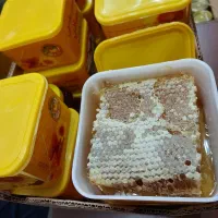 عسل درجه یک اردبیل