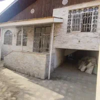 مشارکت در ساخت گلستان فرد