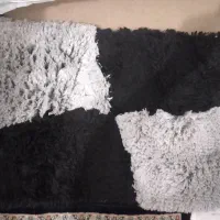 پادری نو وجدید|پادری|کرمانشاه, |دیوار