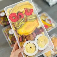 کار در منزل با خشک کن میوه 10، 30 ،50 ،100 کیلویی