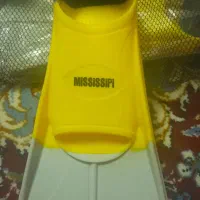 فین شنا|غواصی و ورزش‌های آبی|مشهد, کوشش|دیوار