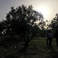 باغ بادام نزدیک رودخانه