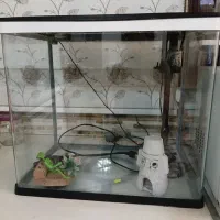 آکواریوم  شرکتی شیشه خم