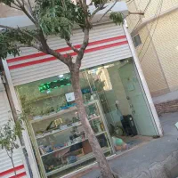 مغازه خیابان اصلی سند تک برگ