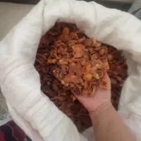 انواع میوه های خشک شده بسیار تمیز و خوشمزه|عمده‌فروشی|صدرا-فارس, فاز ۱|دیوار