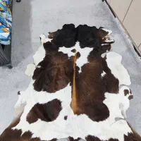 پوستر طبیعی