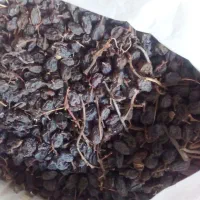 کشمش آفتابی بیدانه