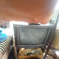 تلویزیون
