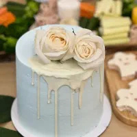 کیک،فینگرفود،مزه،دسر