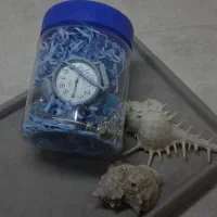 پک شانسی ولنتاین