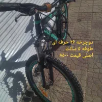 دوچرخه ۱۶و۲۶و۲۴ حرفه ای|دوچرخه، اسکیت، اسکوتر|تربت‌حیدریه, رجایی|دیوار