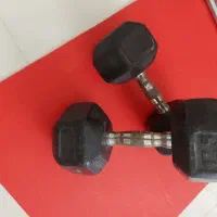 دمبل باشگاهی ۱۷.۵ کیلویی