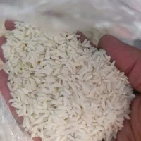 برنج نیمدانه و سالم پرعطر دورود