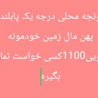 تخم یونجه|عمده‌فروشی|کهنوج, |دیوار