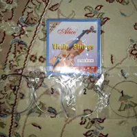 سیم ویولن آلیس|ویولن|تبریز, |دیوار