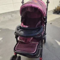 کالسکه دلیجان|کالسکه و لوازم جانبی|شیراز, شهرک مهدیآباد|دیوار