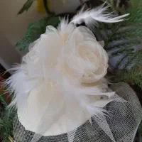 کاپ مجلسی،تل مجلسی