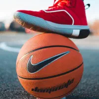 استخدام دستیار تحقیق در رشته تربیت بدنی