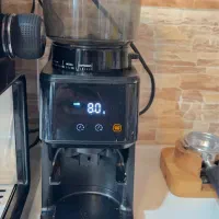 آسیاب قهوه نوا 3662DG|خردکن، آسیاب، غذاساز|رشت, دیلمان|دیوار