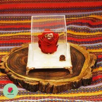 باکس گل رز جاودان طبیعی پایه سنگی برای هدیه تولد|گل و گیاه طبیعی|تهران, دولاب|دیوار