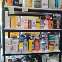 شوینده، بهداشتی و ارایشی باران|مواد شوینده و دستمال کاغذی|تربتحیدریه, کاشانی|دیوار